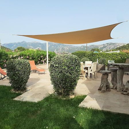 Orasi Sartene Gite Casa Fiurita Luaran gambar