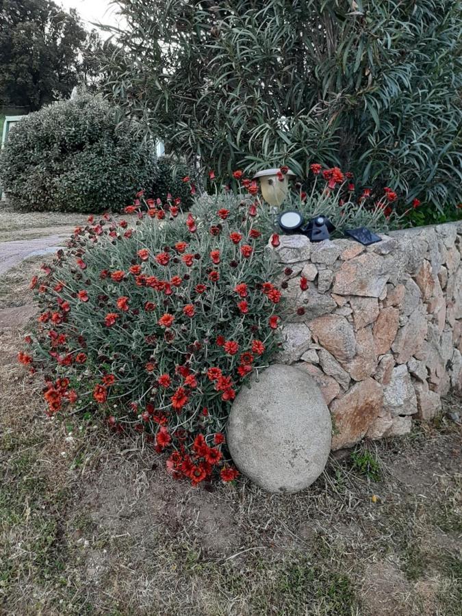 Orasi Sartene Gite Casa Fiurita Luaran gambar
